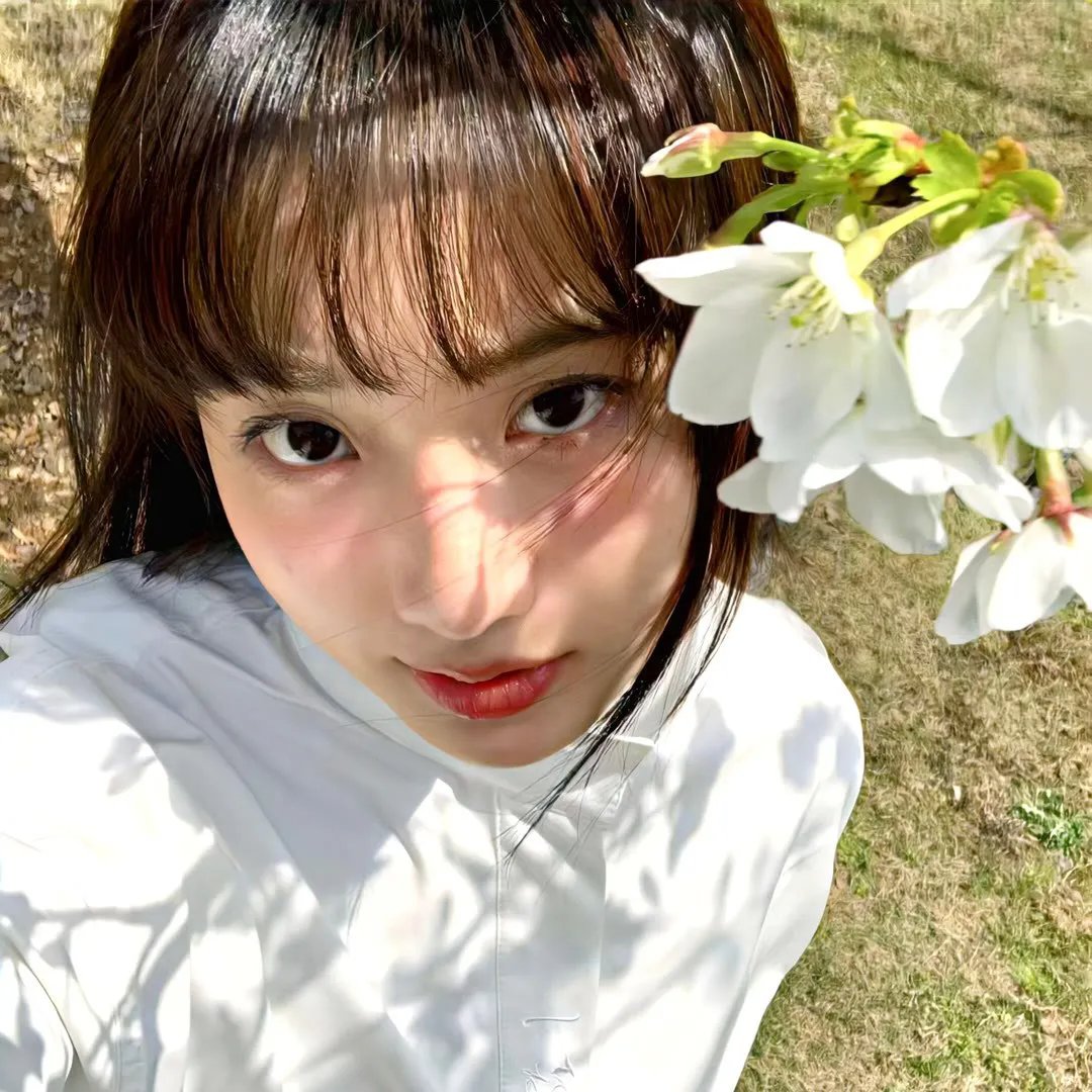 梅艳芳菲